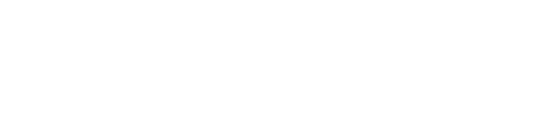 Raphion Motor Group